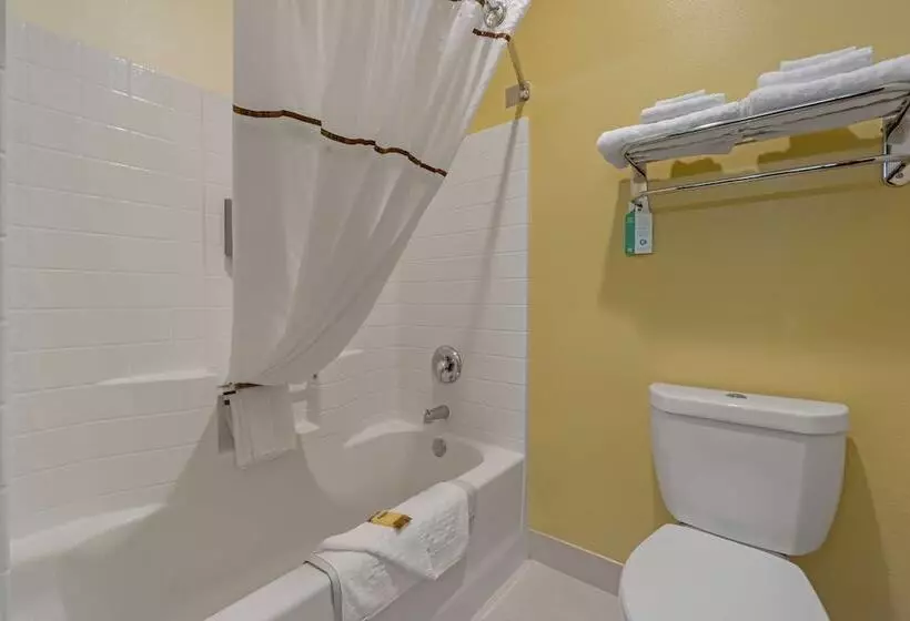 デラックスルーム, Best Western Plus Park Place Inn & Suites