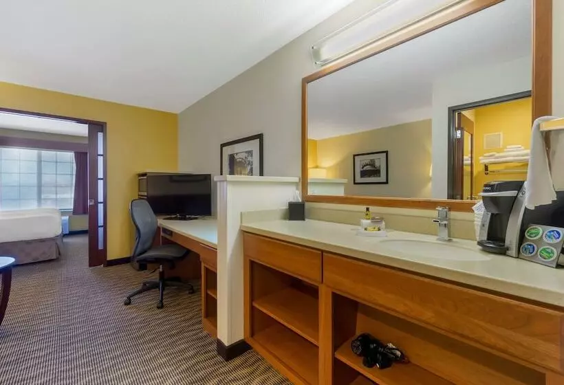 スイート, Best Western Plus Park Place Inn & Suites
