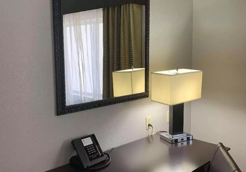 キングサイドベッドのスタンダードワンルーム, Best Western Slidell