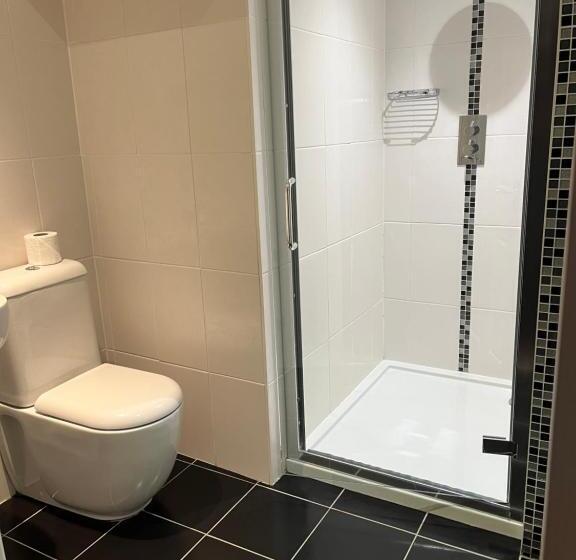 اتاق استاندارد با تخت بزرگ, Limes Hotel