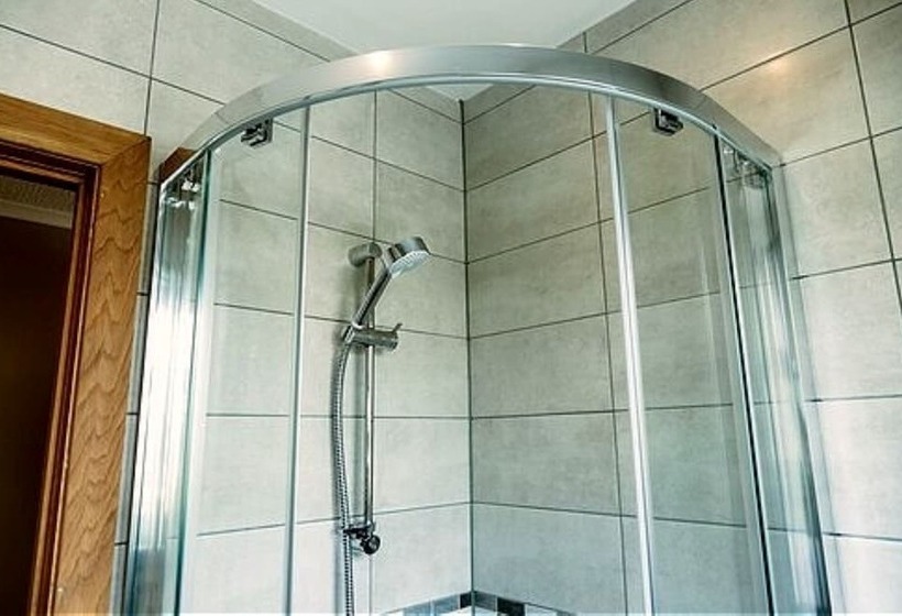 חדר סטנדרט יחיד, St. Davids Cross