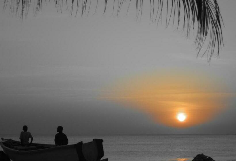 اتاق استاندارد, Babao Camp