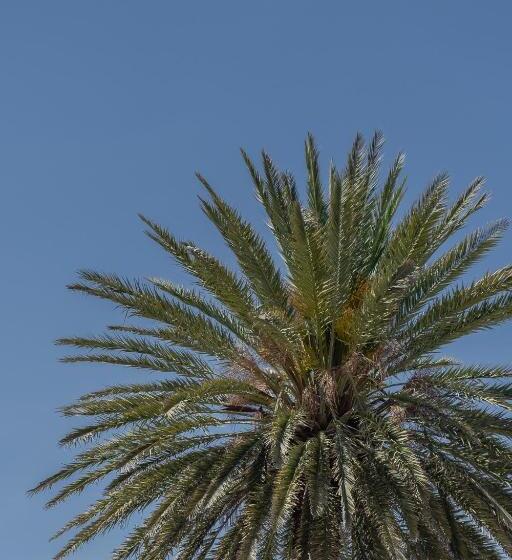 سوئیت با بالکن, Casa Del Sol   Adults Only