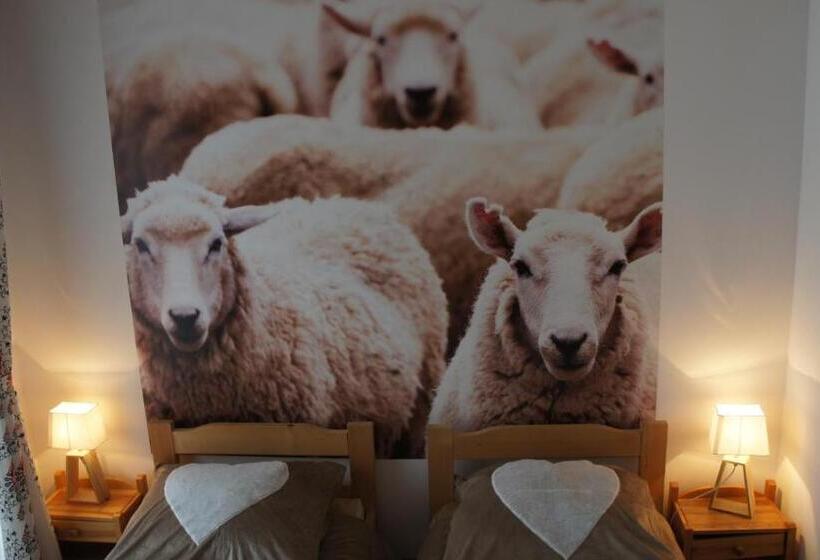 اتاق استاندارد, Gronik