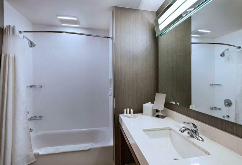 חדר סטנדרט, Courtyard Dallas Grand Prairie