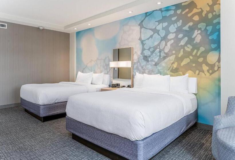 اتاق استاندارد, Courtyard Asheville Biltmore Village