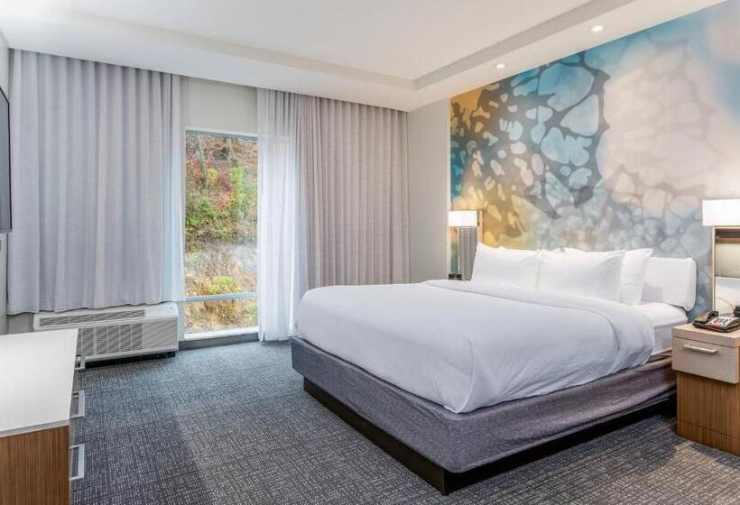 سوئیت با تخت بزرگ, Courtyard Asheville Biltmore Village