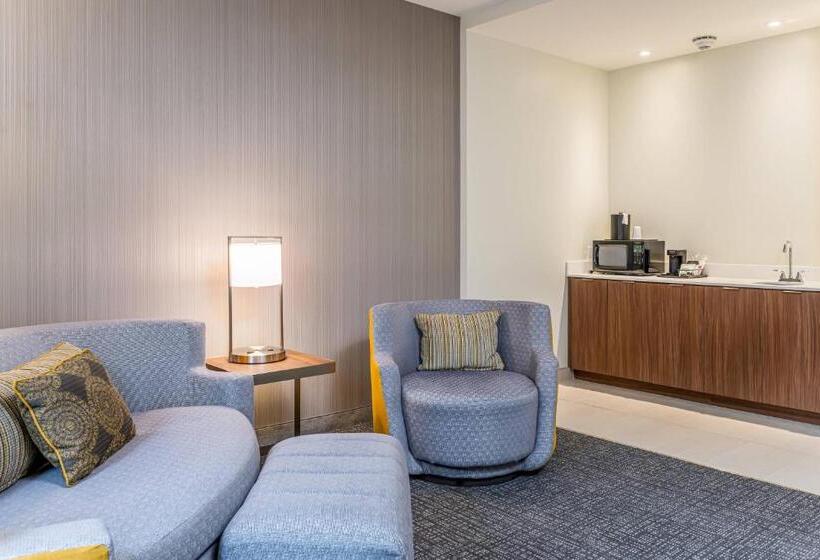 سوئیت با تخت بزرگ, Courtyard Asheville Biltmore Village