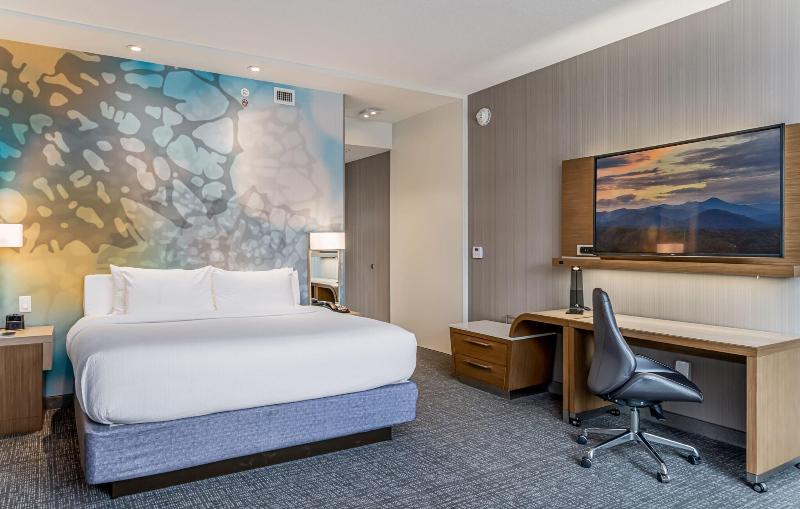 اتاق استاندارد با تخت بزرگ, Courtyard Asheville Biltmore Village