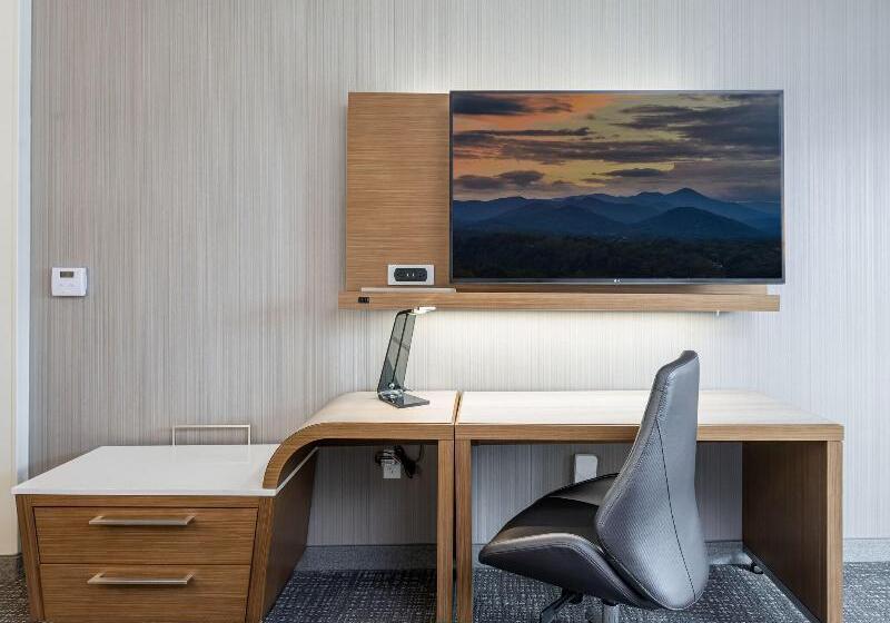 اتاق استاندارد با تخت بزرگ, Courtyard Asheville Biltmore Village