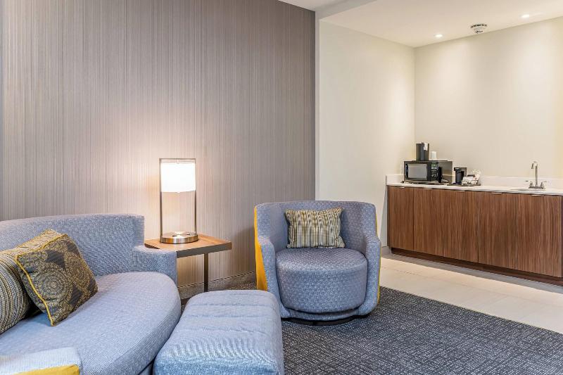 سوئیت با تخت بزرگ, Courtyard Asheville Biltmore Village