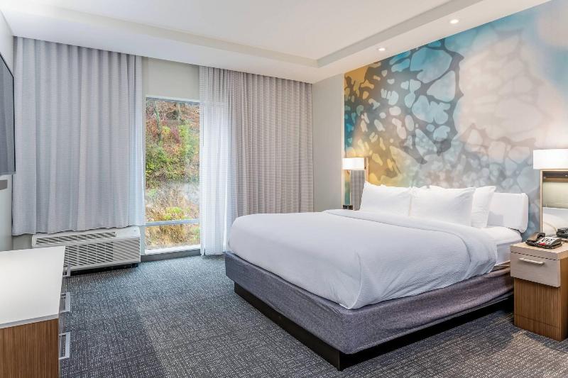 سوئیت با تخت بزرگ, Courtyard Asheville Biltmore Village