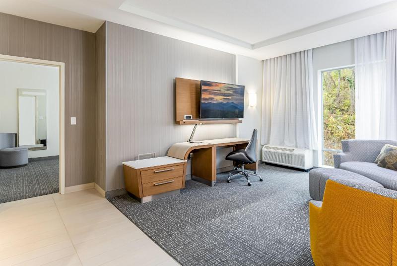 سوئیت با تخت بزرگ, Courtyard Asheville Biltmore Village