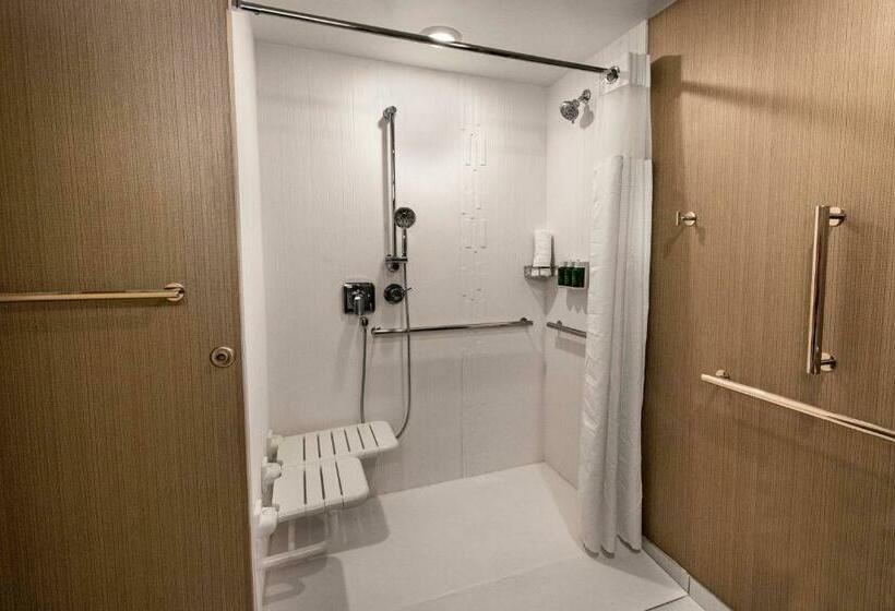 带大床的标准间, Courtyard Winston Salem Downtown