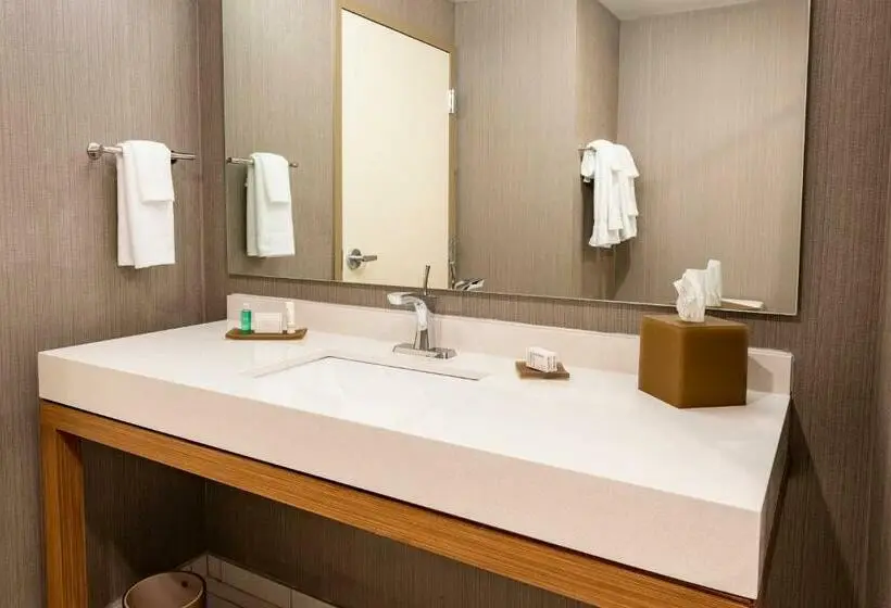 اتاق استاندارد با تخت بزرگ, Courtyard Winston Salem Downtown