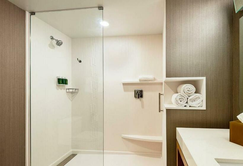 Стандартный Номер Кровать Кинг, Courtyard Winston Salem Downtown