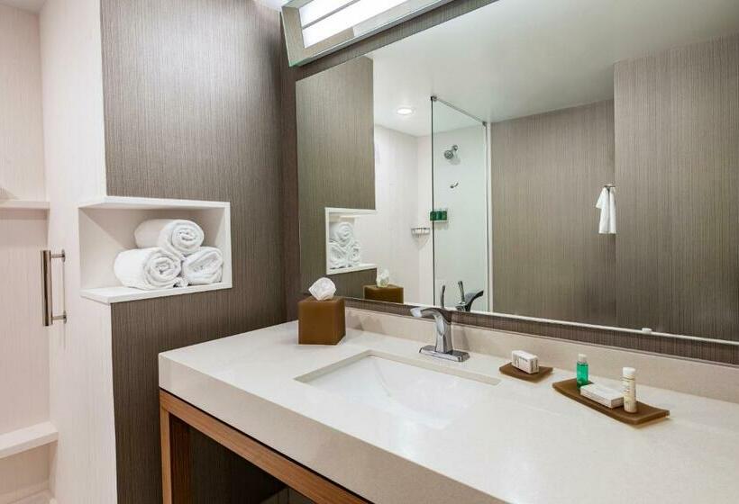 带大床的标准间, Courtyard Winston Salem Downtown