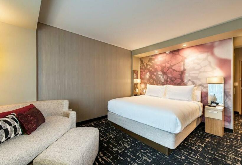 带大床的标准间, Courtyard Winston Salem Downtown