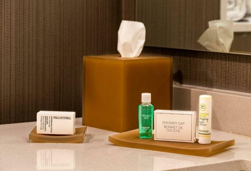 标准间, Courtyard Winston Salem Downtown