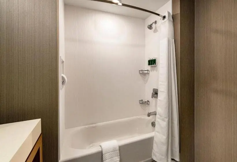 اتاق استاندارد, Courtyard Winston Salem Downtown
