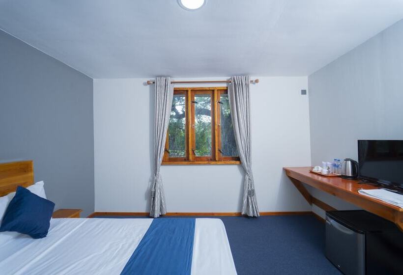 디럭스 룸, Havana Club Resort