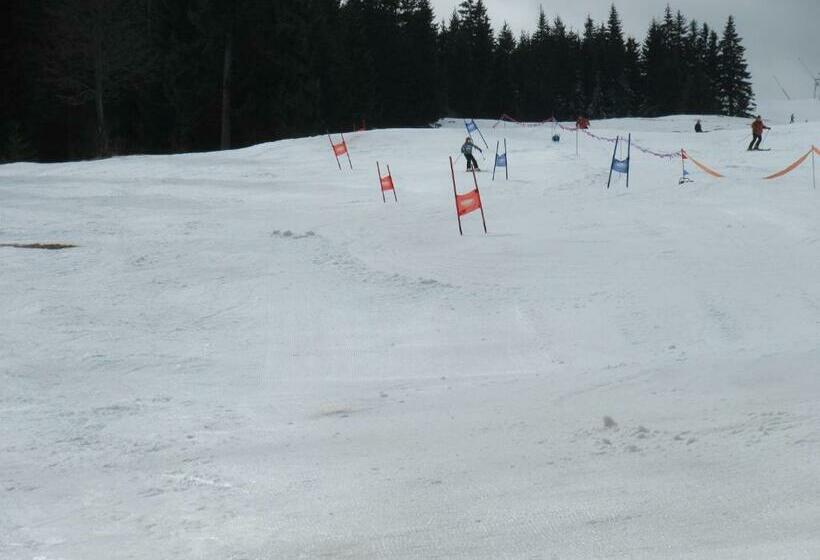 חדר סטנדרט מותאם לאדם עם מוגבלויות, Horský Hotel Kristína