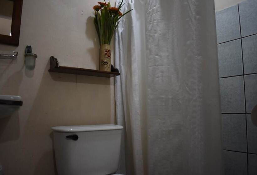 غرفة عائلية, Cabinas Bachelor