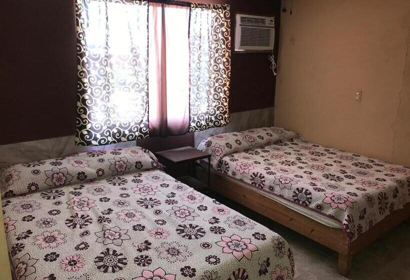 Standart Oda, San Martín