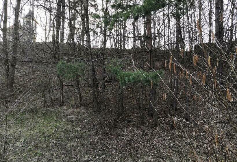 اتاق استاندارد, Penzion Pod Kapličkou