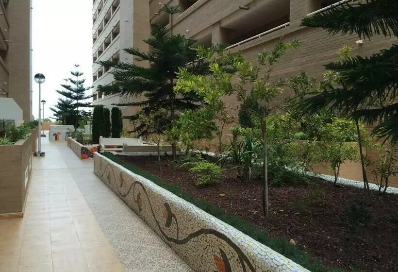 ２ベッドルームアパートメント, Apartamentos Marina Park