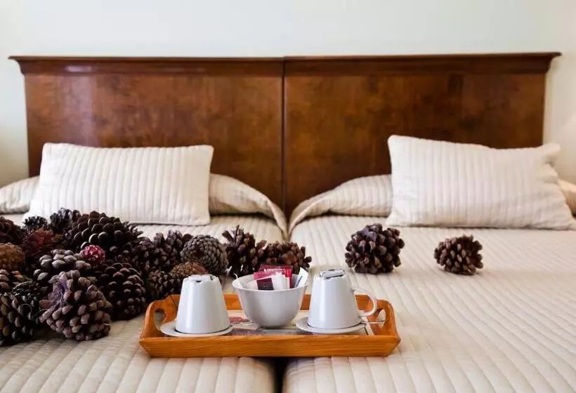 スタンダードルーム, Posada Real Del Pinar