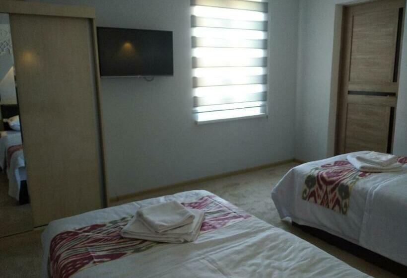 غرفة قياسية, Green House Eco