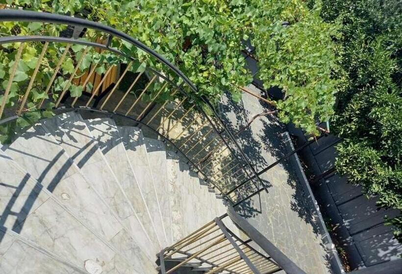 اتاق خانوادگی, Guest House Fazisi