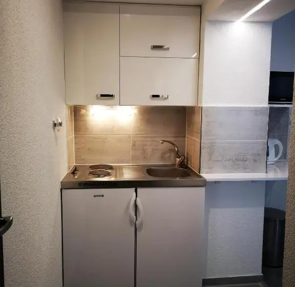 １ベッドルームのデラックスアパートメント, Penzion Rotunda