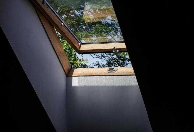 اتاق راحتی سه تخته, Rotuã…â¡ã„â€”