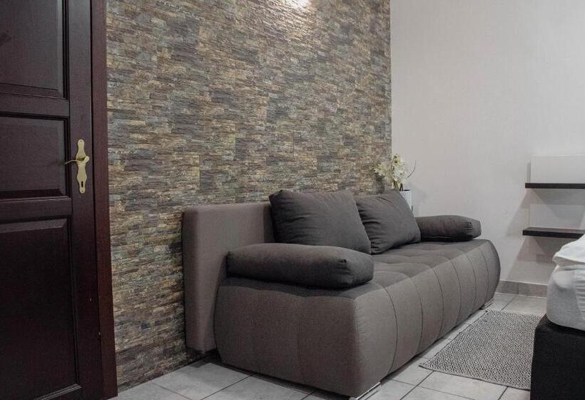 آپارتمان 2 خوابه, črni Baron Pension Black Baron