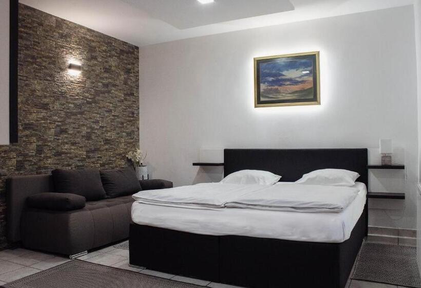 آپارتمان 2 خوابه, črni Baron Pension Black Baron