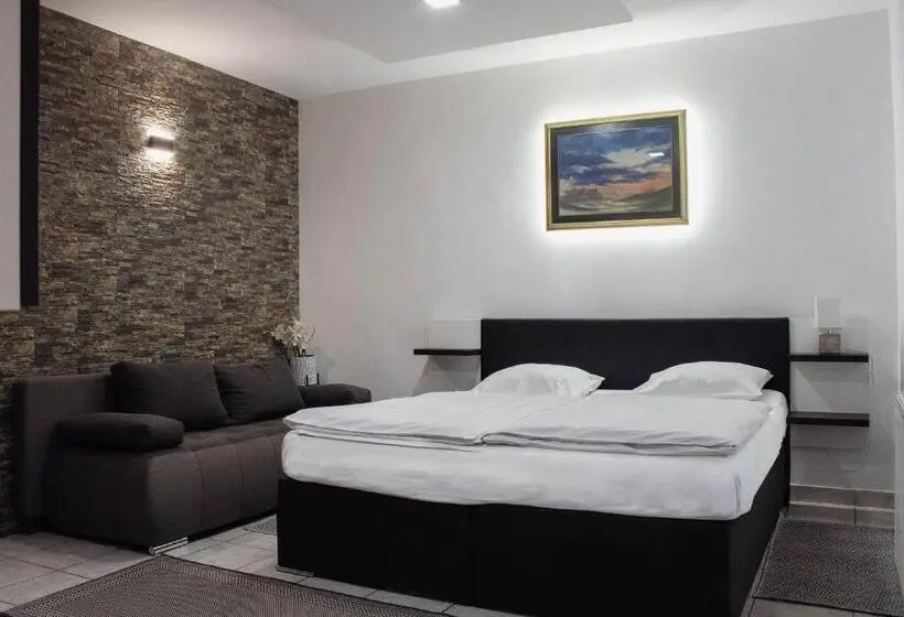 آپارتمان 2 خوابه, črni Baron Pension Black Baron