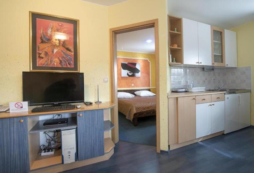 آپارتمان 1 خوابه, črni Baron Pension Black Baron