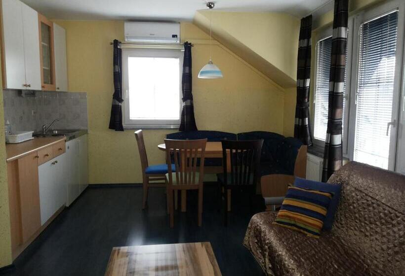 آپارتمان 1 خوابه, črni Baron Pension Black Baron