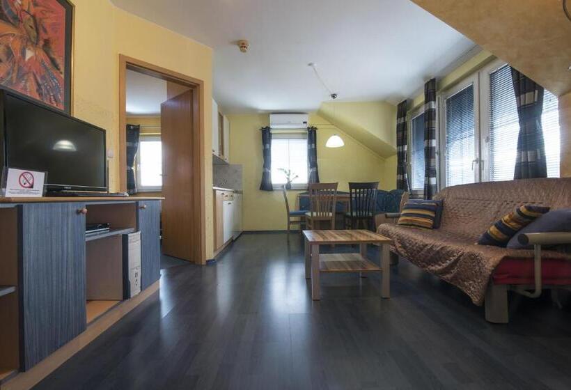 آپارتمان 1 خوابه, črni Baron Pension Black Baron