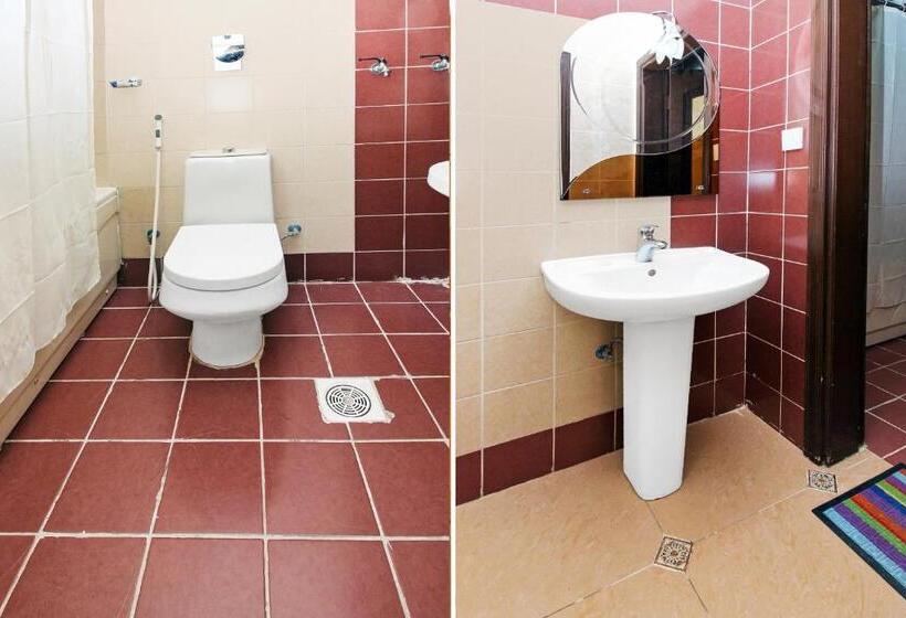 סטודיו דלוקס, Dar Lavena