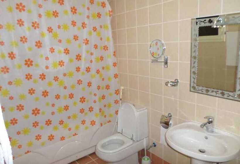 דירת חדר, Dar Lavena