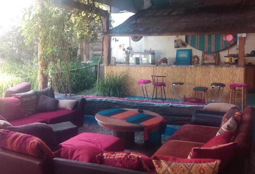 标准间, Au Bonheur Nomade