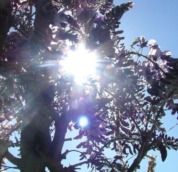 בית, חדר שינה 1, Gîtes De Launay Guibert