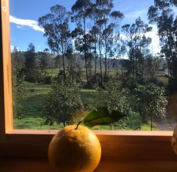 וילה דלוקס חדר שינה 1, Mágica Y Romantica Cabaña, 10 Min Centro