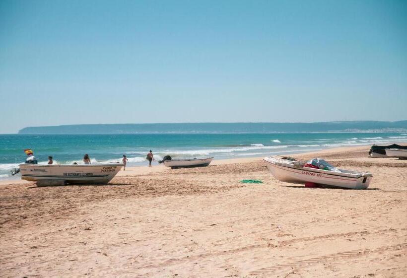 家庭海景房, Avenida Playa