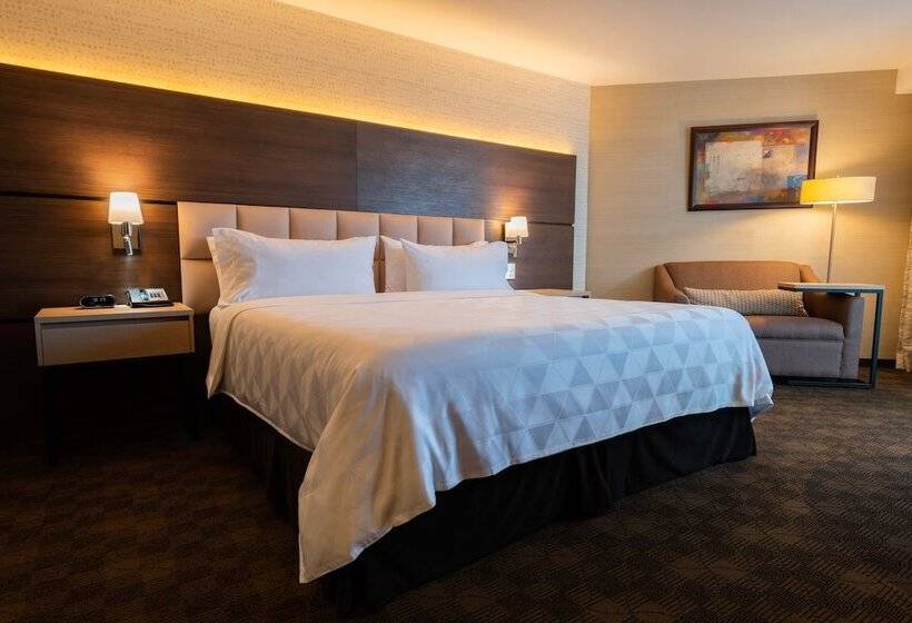 اتاق استاندارد با تخت دوبل, Holiday Inn Guatemala, An Ihg