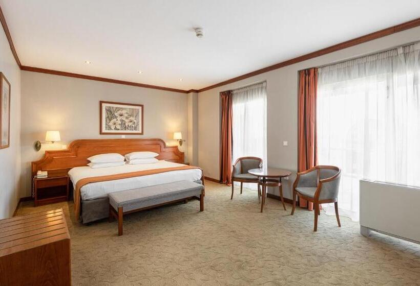 سوئیت اجرایی با تخت کینگ, Holiday Inn Thessaloniki, An Ihg