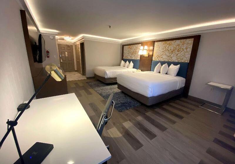 标准间, Novotel Szczecin Centrum